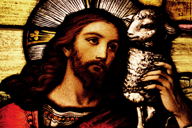 El mundo en español - POR DIOS